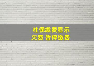 社保缴费显示欠费 暂停缴费